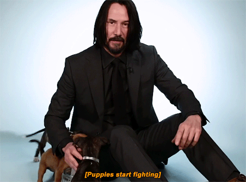 justiceleague - Keanu Reeves Plays With Puppies While...