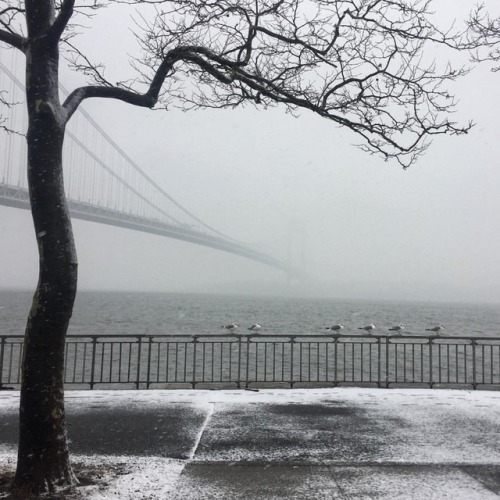 Always wondering: how every snow-storm could turn New York to...