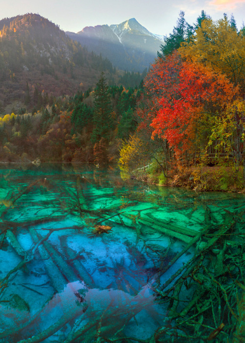 milamai:Colors speak louder than words - Jiuzhaigou, China (by...