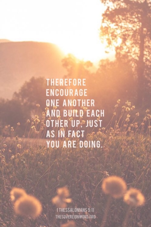 Encourage on Tumblr