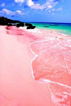 a4visuals - sixpenceee - Pink Beaches, Bermuda - The pink sand is...