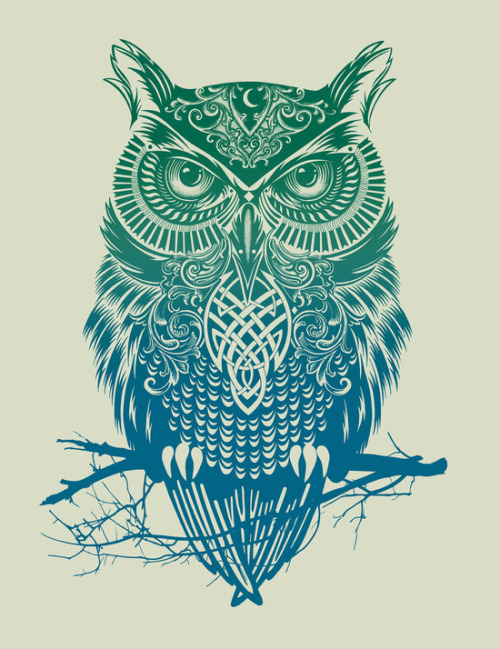bestof-society6 - Warrior Owl by Rachel CaldwellWarrior...