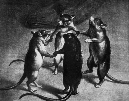 chaosophia218 - Anonymous - Plague, Dance of the Rats, 17th...