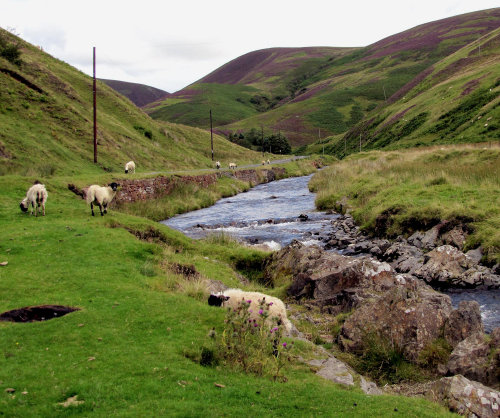 pagewoman - Mennock Pass, Dumfries and Galloway, Scottish...