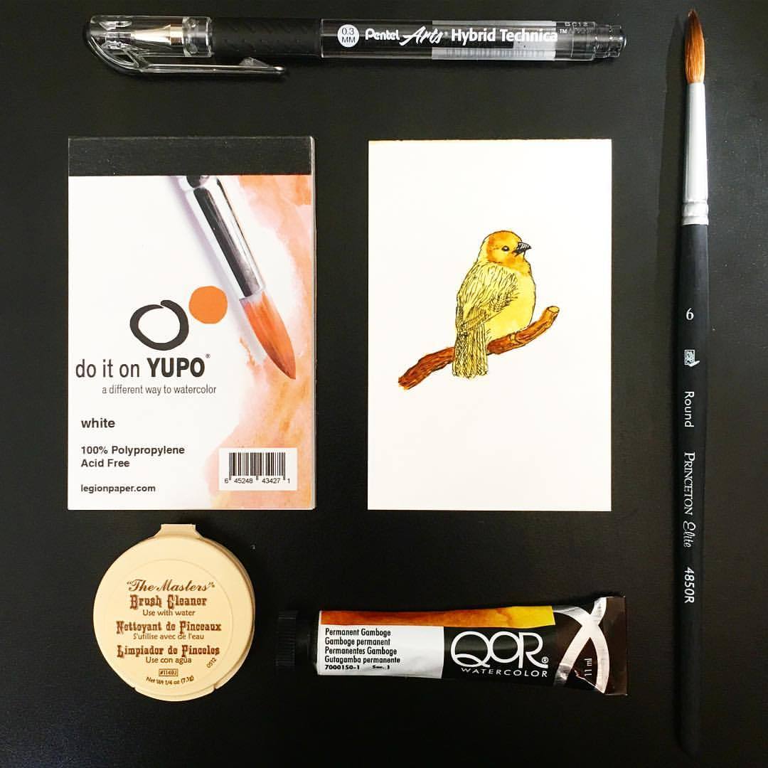 emilytompkinsart: “Can you believe this was painted with only one color??? Got my July ArtSnacks box with Qor Permanent Gamboge. I was inspired to paint one of my favorite birds I worked with, the Taveta Golden Weaver. These guys are super active and...