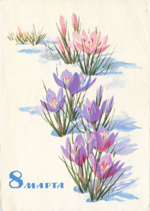 sovietpostcards - Flowers!N. Korobova, 1987N. Kirpichyova,...