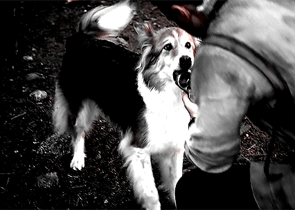 spottytonguedog - daeneryskairipa - OUAT 6x07 - “Heartless” -  ...