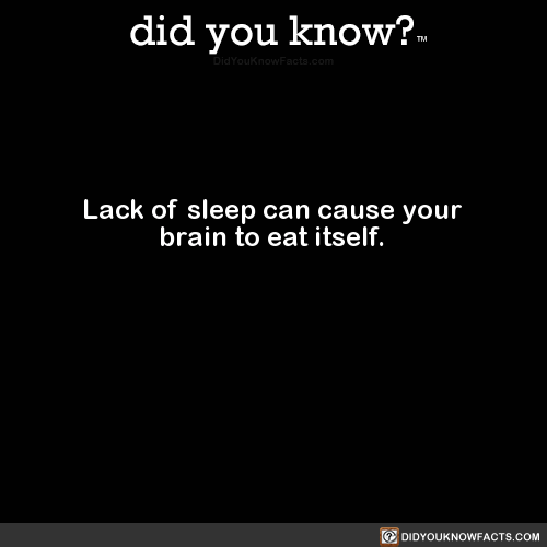 lack-of-sleep-can-cause-your-brain-to-eat-itself