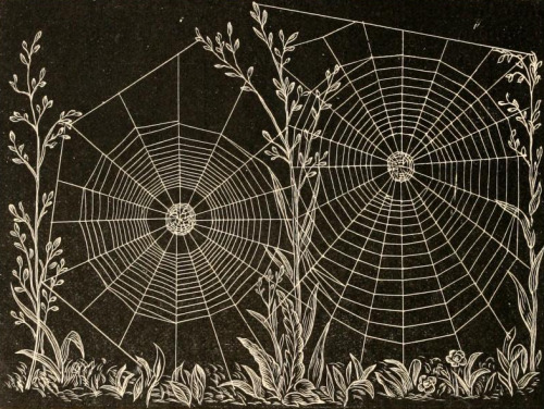 smithsonianlibraries - For those of you who take Halloween...