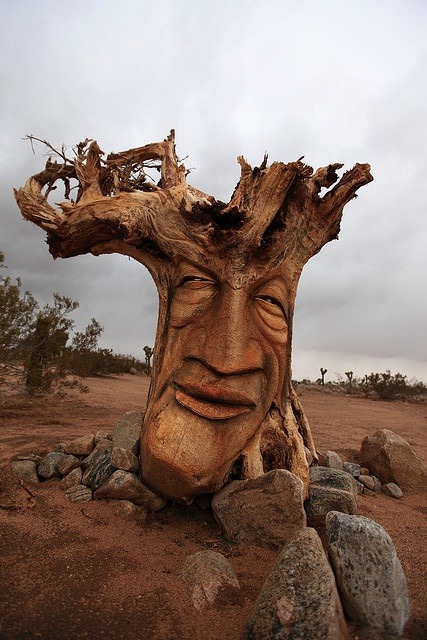 wood-yeah:Surreal tree sculpture / Wood Yeahxtreme scumpture