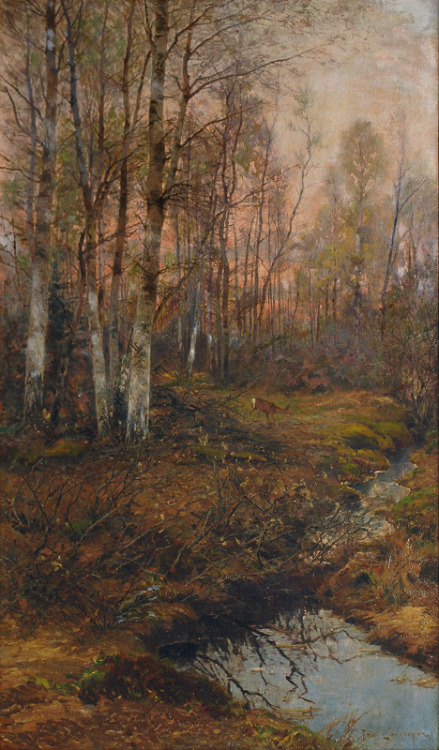 catonhottinroof - Franz Schreyer (1858 - 1936)Forest Clearing...