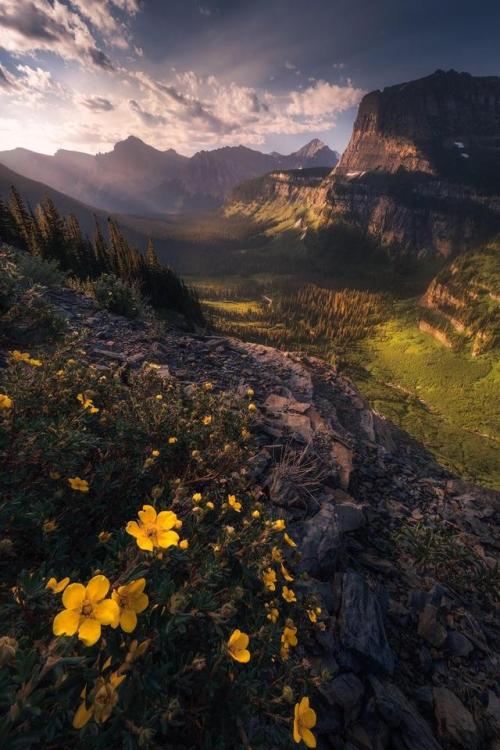 thebeautifuloutdoors - The Going-to-the-Sun Road in Glacier...