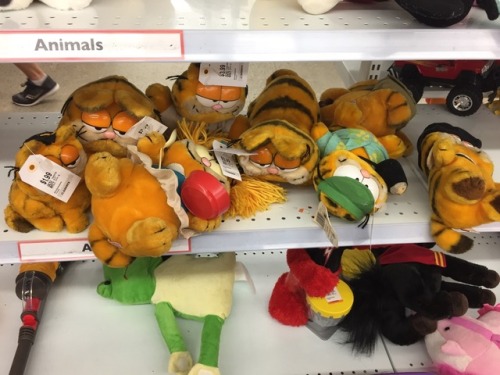 shiftythrifting - a plethora of filthy Garfield plushies.MY...