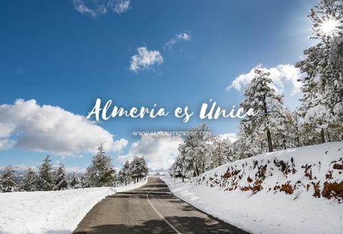 almeriatrending - ❄❄❄❄ También en #invierno #Almería es Única… ...