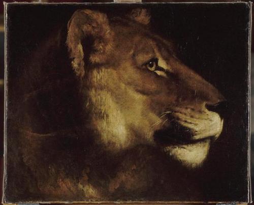 artist-gericault - The head of lion, Theodore Gericault