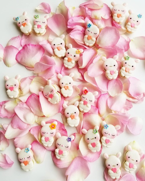 sosuperawesome:Macarons by Melly Eats World, on Instagram