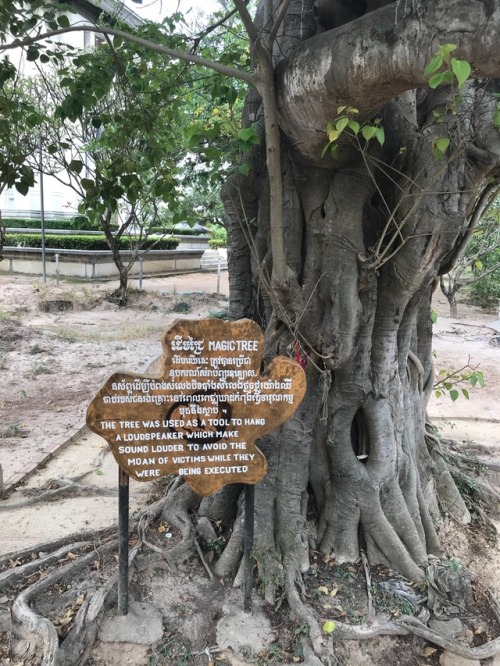 cheshireinthemiddle - Choeung Ek is a memorial, marked by a...