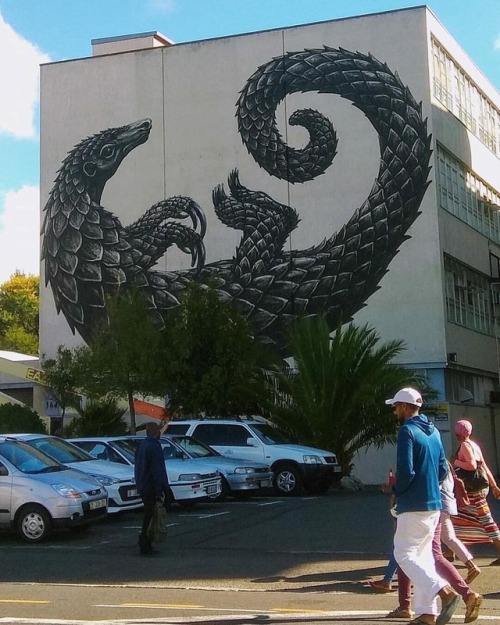 graffitisouthafrica - Fresh ROA in #CapeTown for #IPAF2018...