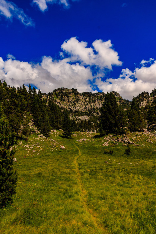 nature-hiking - Trails of the HRP 16-20/? - Haute Route...