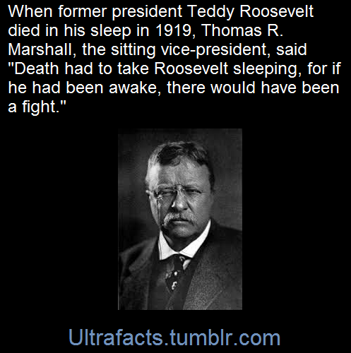 geistygeist:ultrafacts:(Fact Source) for more facts, follow...