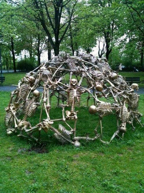 everythingstarstuff - Skeletal jungle gym in the backyard of...