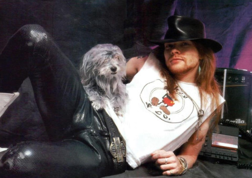 blog-music-is-my-life - Guns N’ Roses and animals