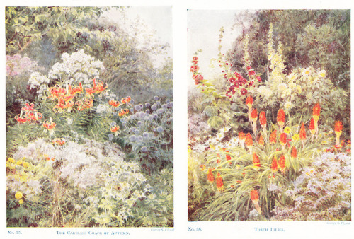 adelphe - Gardens in Their Seasons, A Nature Book for Boys and...