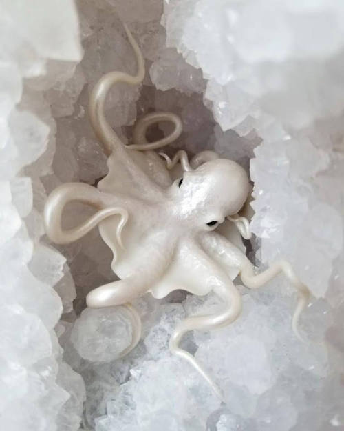 sosuperawesome - Ocean Sculptures, by Elemental Urchin on...