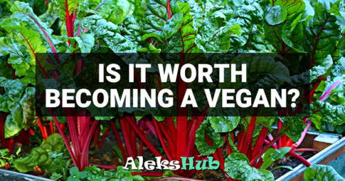 Is it worth becoming a vegan? Check out the reasons for...