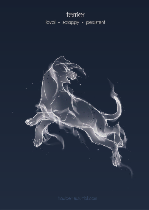 hawberries:expecto patronum(i wanted to draw more critters…)