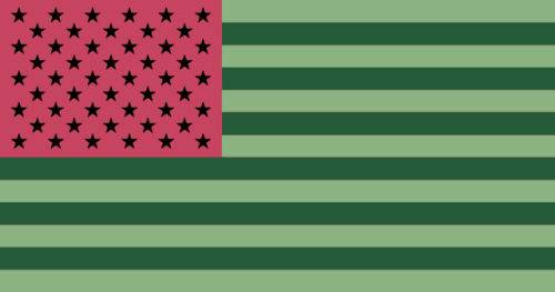 rvexillology - Flag of USA but occupied by watermelon trusts and...