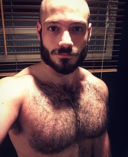 hairytreasurechests - FOLLOW MY OTHER TUMBLR BLOGS - Hairy,...