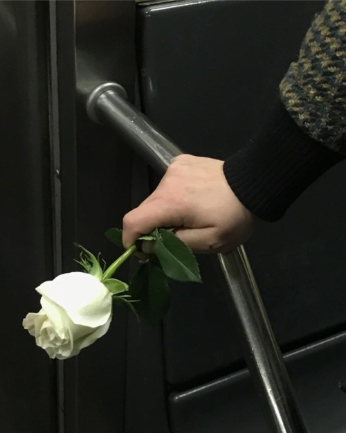 distantvoices:Hands holding flowers by @subwayhands on...