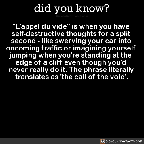 vampyrefay - did-you-kno - “L'appel du vide” is when you have...