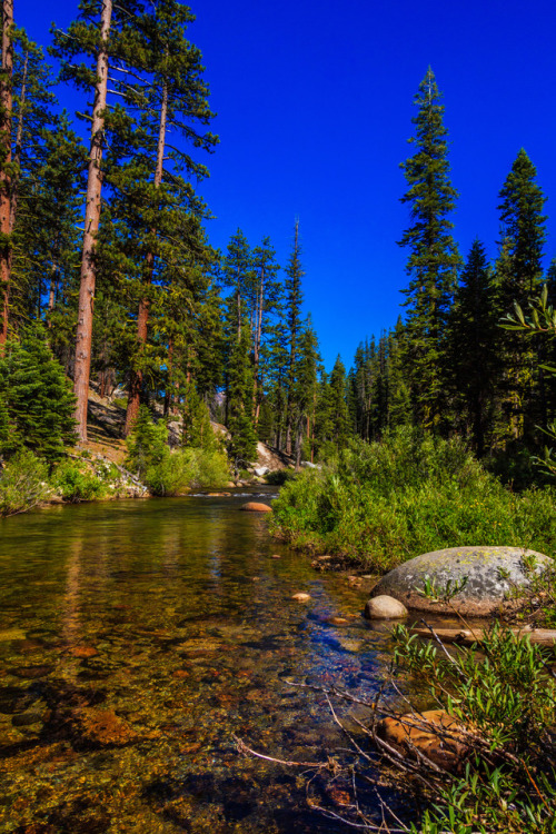 nature-hiking:Calm mountain river 2/? - Yosemite National Park,...