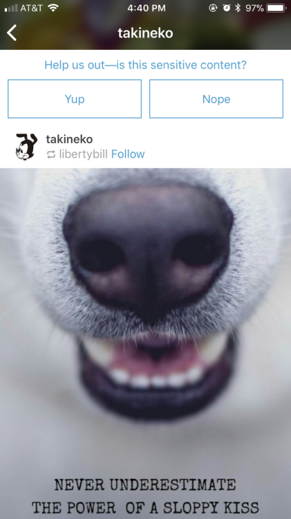 takineko - HATEI mean dogs are sweet and they mean well but NO,...