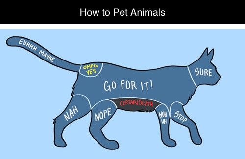 tastefullyoffensive:How to Pet Animals by Adam...