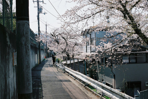 japan-overload - untitled by zyu10 on Flickr.