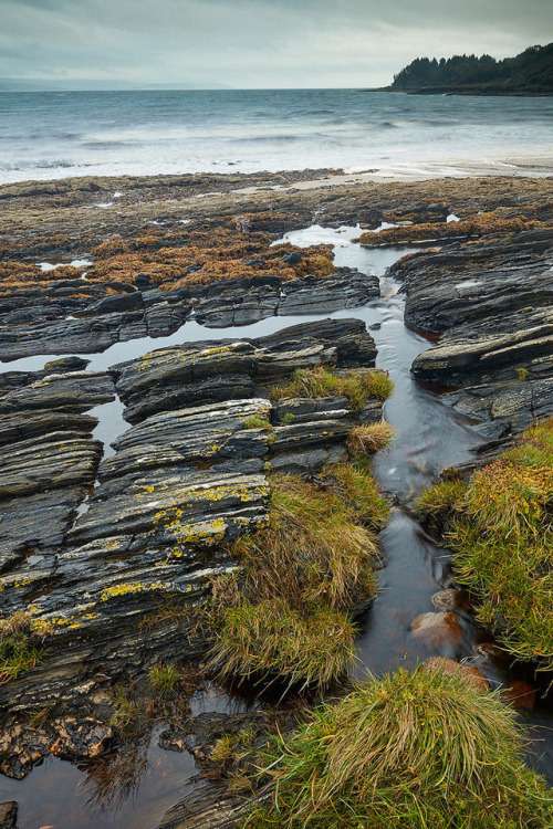 wanderthewood - Kintyre, Argyll and Bute, Scotland by...