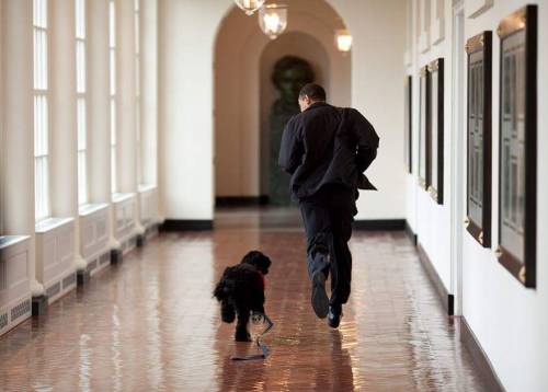 nmcg45nm - So long president Obama. Thank you for your amazing...