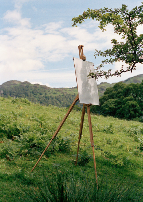 pikeys:Tim Knowles - Hawthorn on Easel, Tree Drawing (2005)   