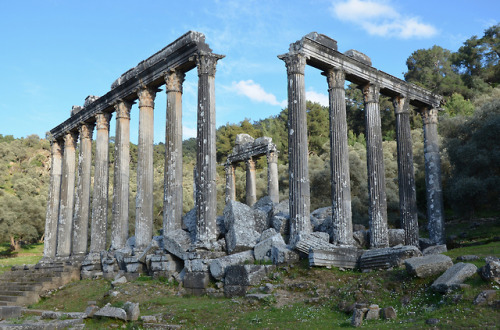 classicalmonuments - Temple of Zeus LepsinosEuromos,...