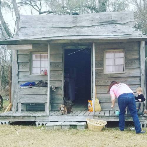 southcarolinamermaid - GeeGee is guarding the front porch of the...