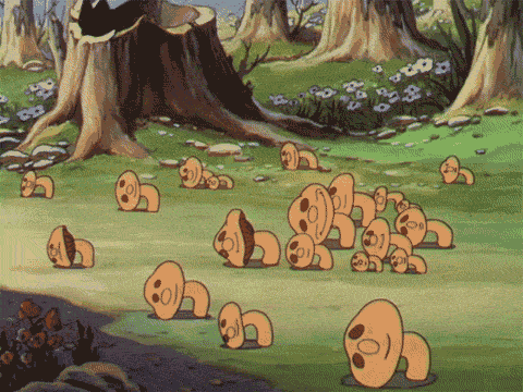 the-absolute-best-gifs - the cutest lil fungi ever