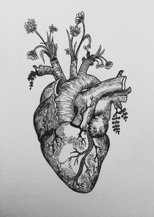 Coração mecanico