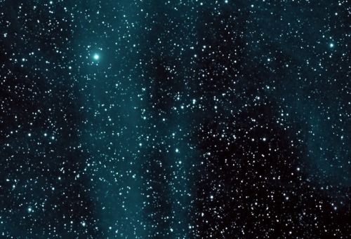 astronomyblog:Comet C/2014 Q2 Lovejoy and the Pleiades...