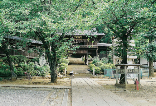 yukku-ri:法華経寺 by rooppe on Flickr.