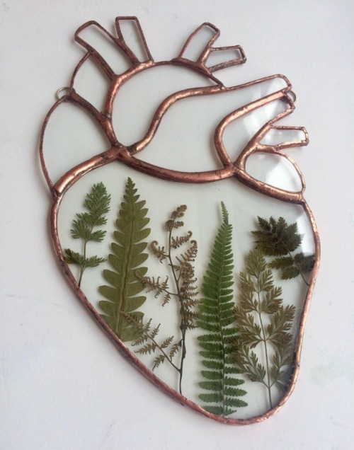 sosuperawesome - Pressed Ferns and Flowers Stained Glass...