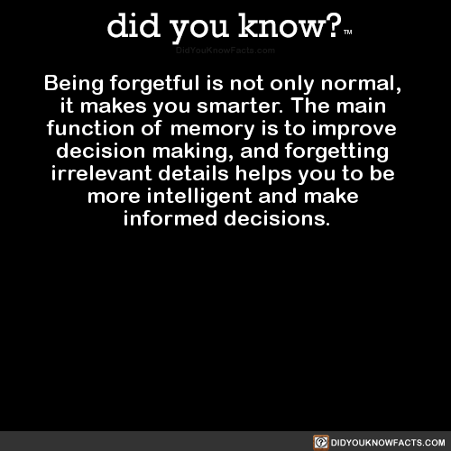 being-forgetful-is-not-only-normal-it-makes-you