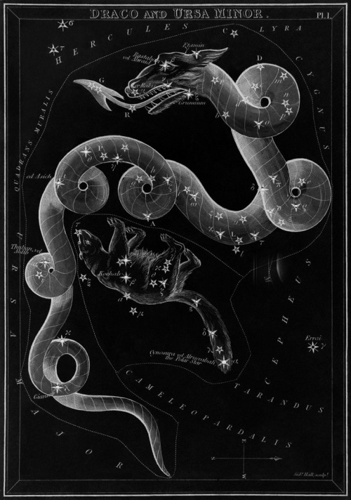 chaosophia218 - Sidney Hall - Constellations, “Urania’s...